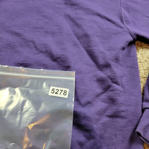 Champion Hoodie Men’s Medium Purple Spellout Logo Graphic Drawstring Pullover - Picture 7 of 7